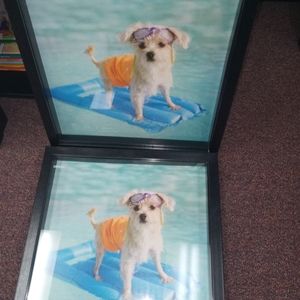 Pair orHandcrafted #Shadow box #Dog portraits